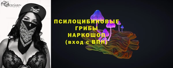 молекула духа Арсеньев