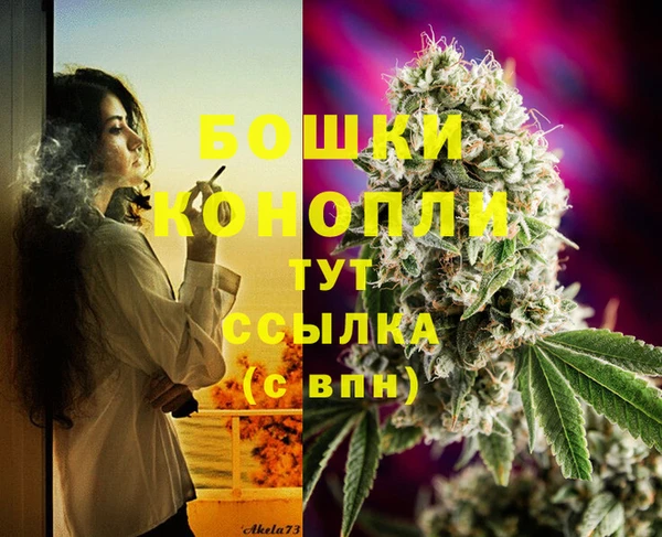 спайс Аркадак