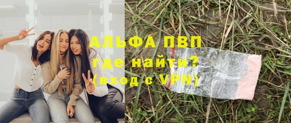 молекула духа Арсеньев