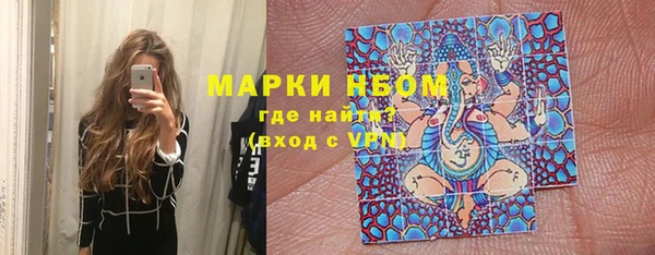 молекула духа Арсеньев